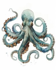 Watercolor painting of octopus. Colorful octopus isolated on white background.