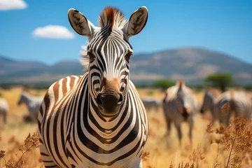 Gordijnen Zebras grazing in an African savannah under the sun., generative IA © JONATAS
