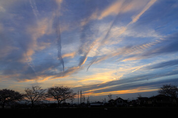 Obraz premium 夕暮れ時のたなびいた飛行機雲