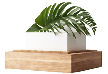 podium leaves background Wooden tropical pedestal product white poduim dais pedestal product template stage empty blank interior room wall architecture white wood wooden tropical leaf plant leaf - obrazy, fototapety, plakaty