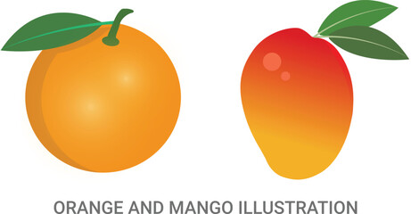 Orange and mango illustration fully editable vector file.