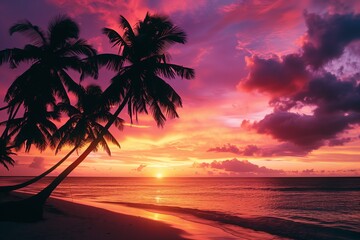 Tropical Sunset with a Lone Palm Tree on the Beach