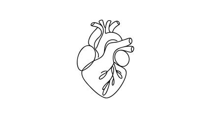 Single continuous line art anatomical human heart silhouette. Healthy medicine concept design one sketch outline drawing vector illustration.