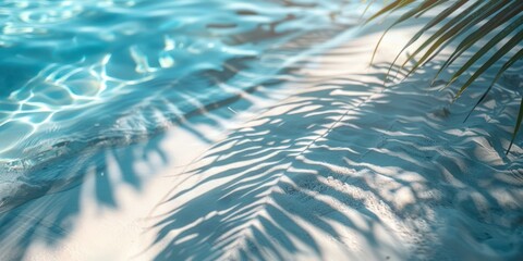 Tropical leaf shadow on water surface. Shadow of palm leaves on white sand beach