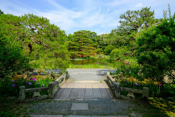 初夏の梅宮大社神苑の風景