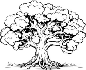 Oak tree sketch drawing