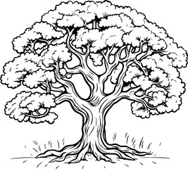 Fototapeta premium Oak tree sketch drawing
