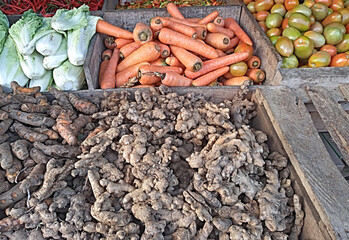 Vegetable means a plant or part of a plant used as food.