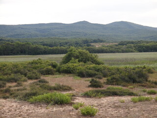 Alepu (Burgas Province, Bulgaria)