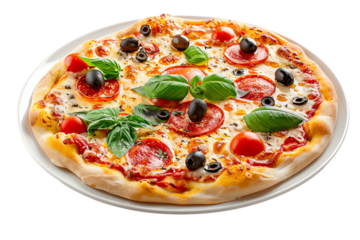pizza with salami and olives
