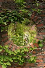 庭でくつろぐ小人