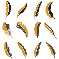 feathers