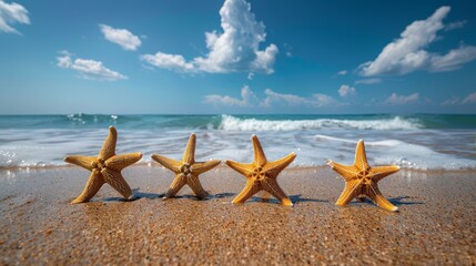 Fototapeta na wymiar Two Starfish on Beach With Ocean Background