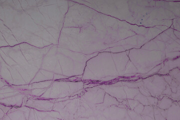 Colorful modern abstract decorative cover design