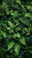 Green fern wallpaper