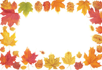 autumn leaves frame