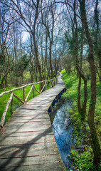 Obraz premium National Park Ropotamo Bulgaria. Wooden bridge leads to the Ropotamo river crossing green spring forest. 