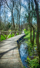 National Park Ropotamo Bulgaria. Wooden bridge leads to the Ropotamo river crossing green spring forest.
