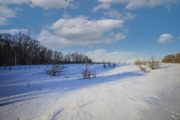 Fototapeta na wymiar winter nature in the Russian countryside