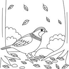 Fototapeta na wymiar Cute kawaii quail in the forest cartoon character coloring page vector illustration
