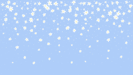 Spring background falling daisies on blue vector background