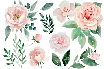 Poster Handpainted watercolor set of pink florals and greenery, elegantly isolated on white, suitable for sophisticated design projects © Pungu x
