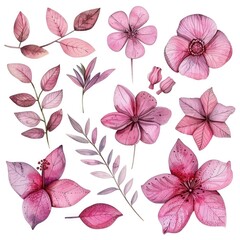 Harmonious set of watercolor pink flowers and foliage, presenting a variety of textures on a white background for unique designs