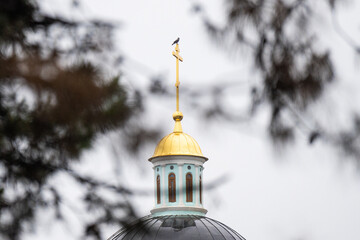 Golden dome of the Orthodox Church. Orthodox Church. Orthodox cross. A bird sitting on the cross of the golden dome of the church.