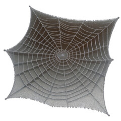 3D of A spider web is shown in a close up, isolated on a transparent background.