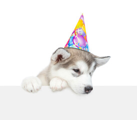 Alaskan malamute puppy wearing party cap looks donw on empty space above empty white banner. isolated on white background