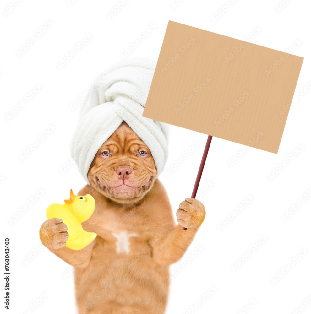 Poster funny mastiff puppy with towel on it head holds shower brush and shows empty placard. isolated on wh