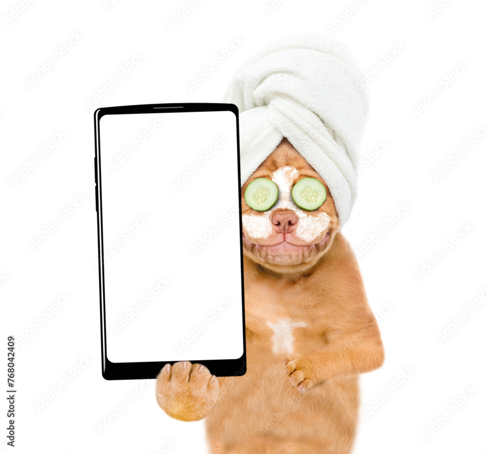 Aufkleber Mastiff puppy with towel on it head, with pieces of cucumber on it eyes and with cream on it face holds  big smartphone with white blank screen in it paw. isolated on white background