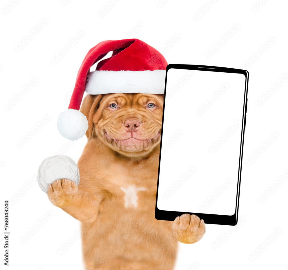 Poster smiling mastiff puppy wearing santa hat holds snowball and big smartphone with white blank screen in