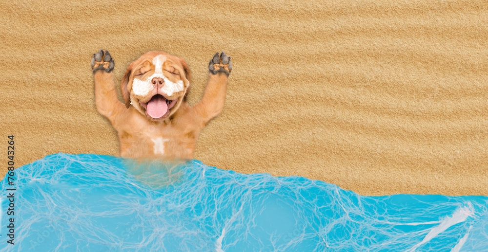 Poster funny mastiff puppy covered with suntan lotion or sunblock relaxing at sunny beach. empty space for 
