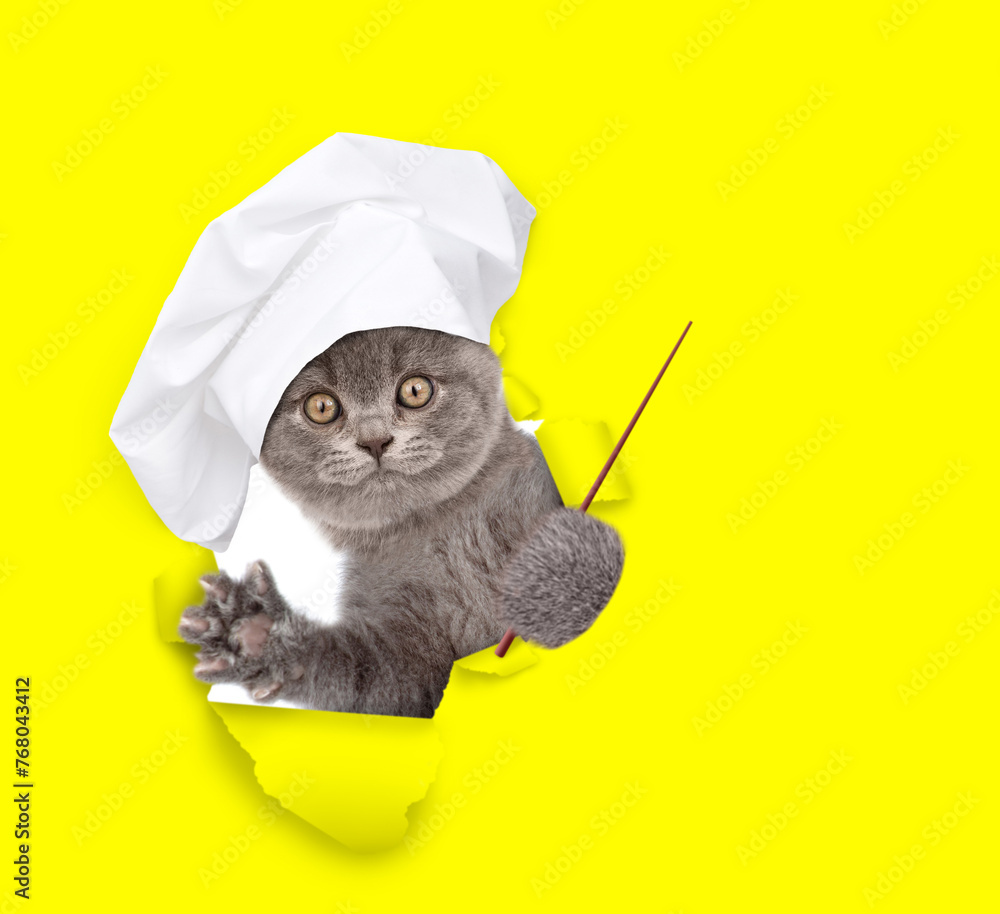 Poster Cat wearing chef's hat looking through the hole in yellow paper and  pointing away on empty space. isolated on white background