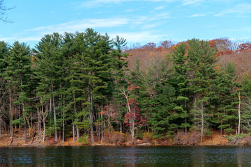 Autumn lake reflecting on a blue sky background and forest landscape. High-quality photo