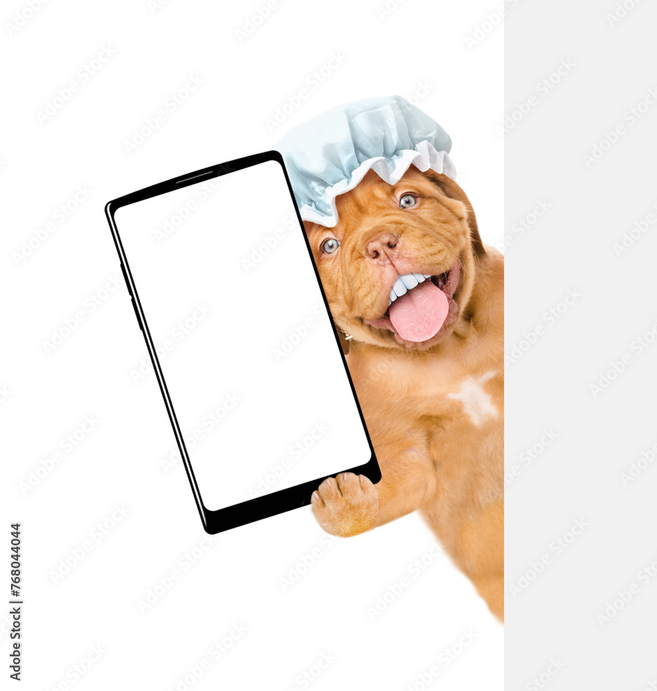 Fototapete happy mastiff puppy with big funny teeth wearing shower cap peeking out from behind the empty banner