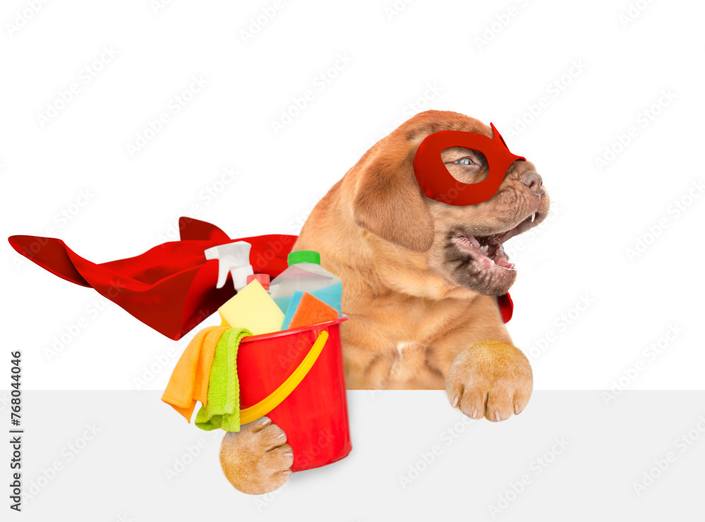 Poster barking mastiff puppy wearing superhero costume holds bucket with washing fluids above empty white b