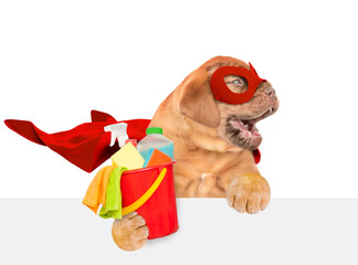 Barking Mastiff puppy wearing superhero costume holds bucket with washing fluids above empty white banner and looks away on empty space. Isolated on white background