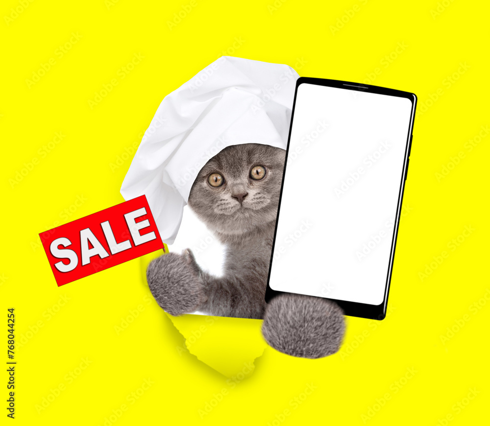 Poster cat wearing chef's hat looking through the hole in yellow paper shows smartphone with white blank sc