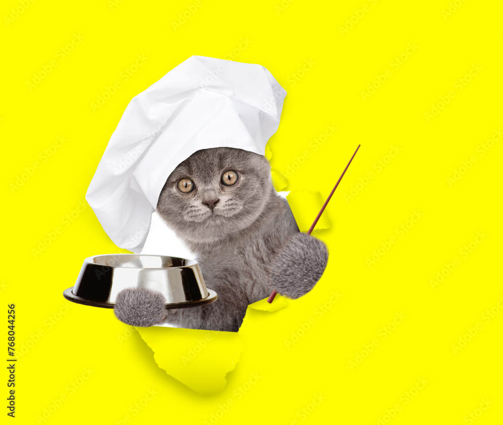 Poster Cat wearing chef's hat looking through the hole in yellow paper, holding empty bowl and  pointing away on empty space. isolated on white background