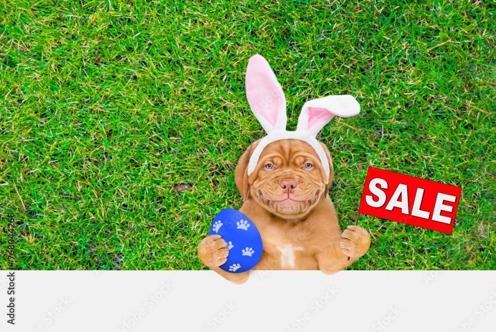 Aufkleber Smiling Mastiff puppy wearing easter rabbits ears holds painted easter egg and shows signboard with labeled 