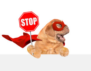 Funny Mastiff puppy wearing superhero costume showing stop sign above empty white banner. Isolated...