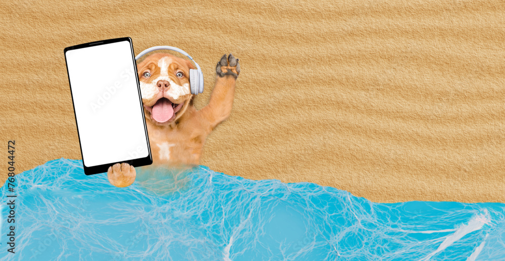 Poster happy mastiff mastiff puppy wearing headphones lying at sunny beach and showing big smartphone with 