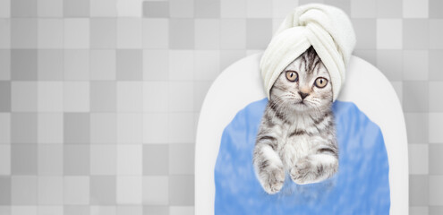 Cute kitten with towel on it head takes the bath at home. Top down view. Empty space for text