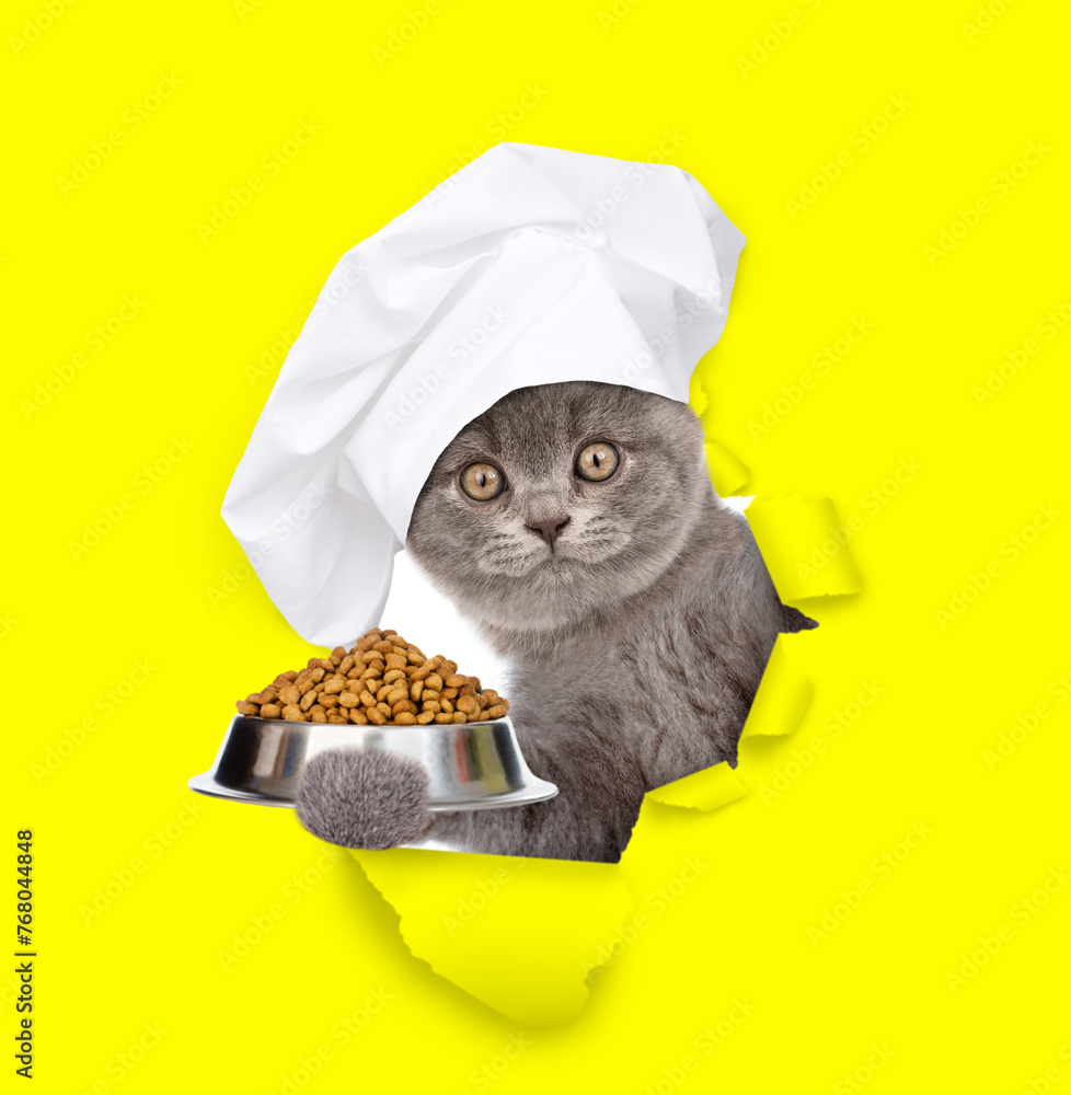Poster cat wearing chef's hat looking through the hole in yellow paper and holding empty bowl. isolated on 