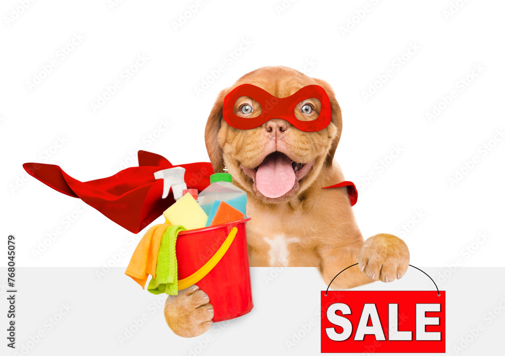 Poster funny mastiff puppy wearing superhero costume holds bucket with washing fluids and showing signboard