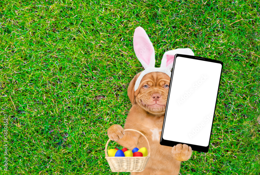 Poster smiling mastiff puppy wearing easter rabbits ears holds basket of easter eggs and big smartphone wit