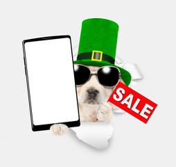 Saint Patrick's Day concept. Golden retriever puppy wearing green leprechauns top hat holding big...