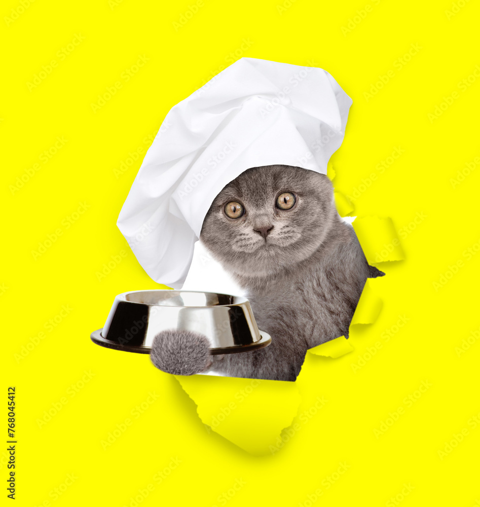 Poster cat wearing chef's hat looking through the hole in yellow paper and holding empty bowl. isolated on 